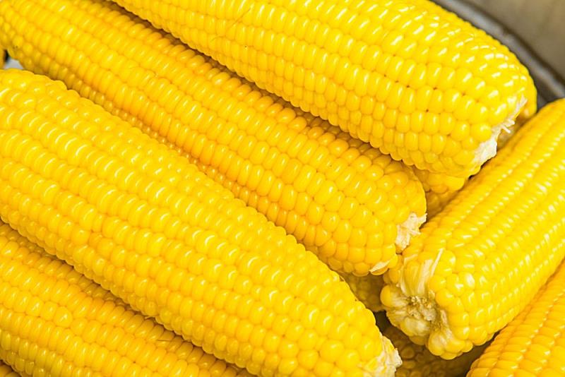 玉米“一粮独大”正在改变