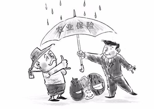 青海省2016年农业险最大金额达5705万元