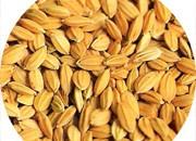 苏州市发布明年水稻种子价格行情动态预测