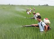化肥农药用量零增长　农业发展更“绿色”