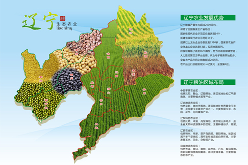 辽宁粮油区域布局