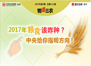 2017年粮食该咋种 中央给你指明方向