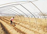 苏家屯区为广大农民开展春耕生产提供有效的安全保障