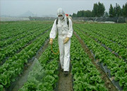 凌海加强农药化肥监管 保障农产品质量安全