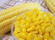 东北地区玉米收购超七成　进展好于预期