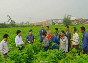 辽阳市：种植业技术培训助农增收