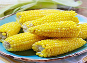 玉米去库存 可增加“过腹转化”