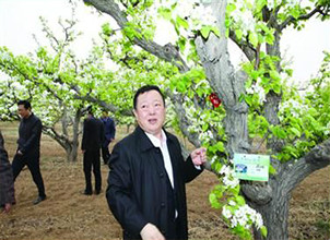 葫芦岛认养农业成为转型升级新抓手