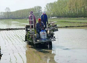 辽宁省农委印发紧急通知要求抓住降雨有利时机加快春播进度