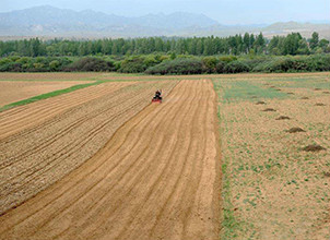 辽宁省农作物播种面积已超过300万公顷 播种进度达七成