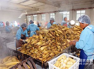 农业大国变强国加工业短板须补齐